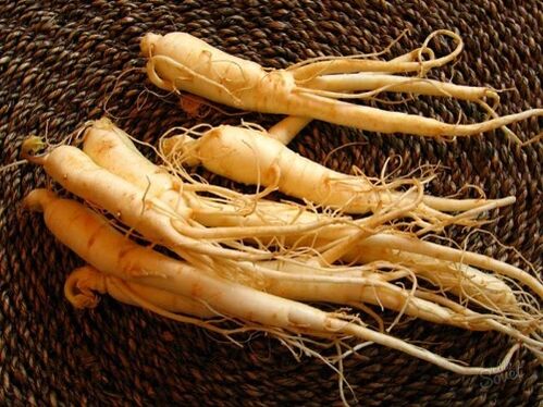 racine de ginseng pour augmenter la puissance après 60 ans